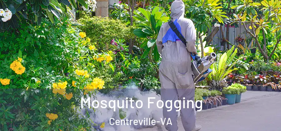 Mosquito Fogging Centreville-VA