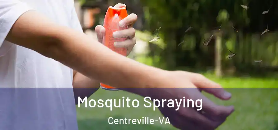  Mosquito Spraying Centreville-VA