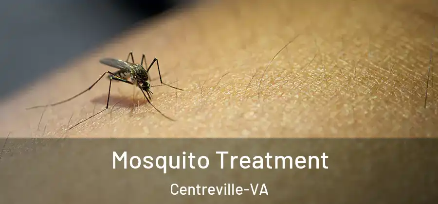  Mosquito Treatment Centreville-VA