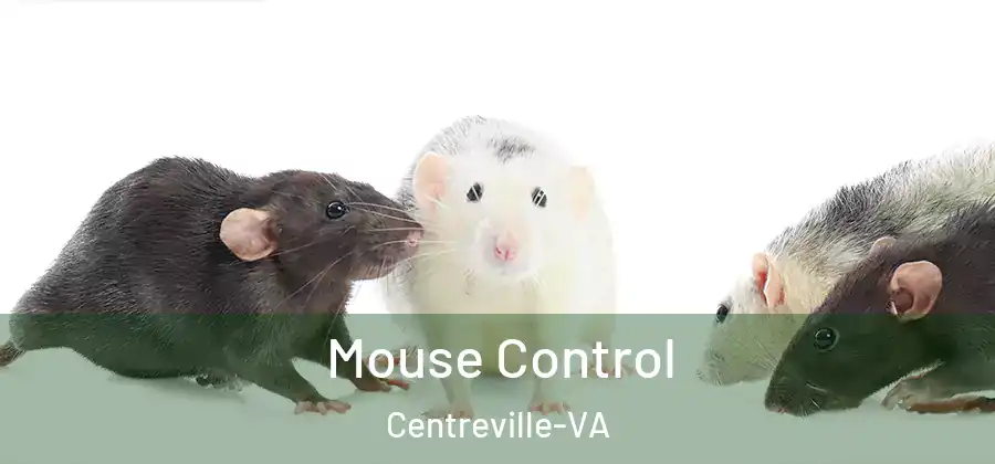  Mouse Control Centreville-VA