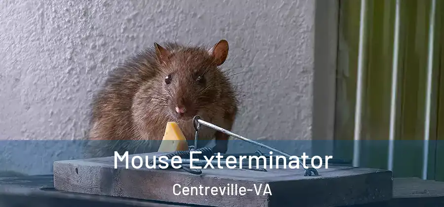 Mouse Exterminator Centreville-VA