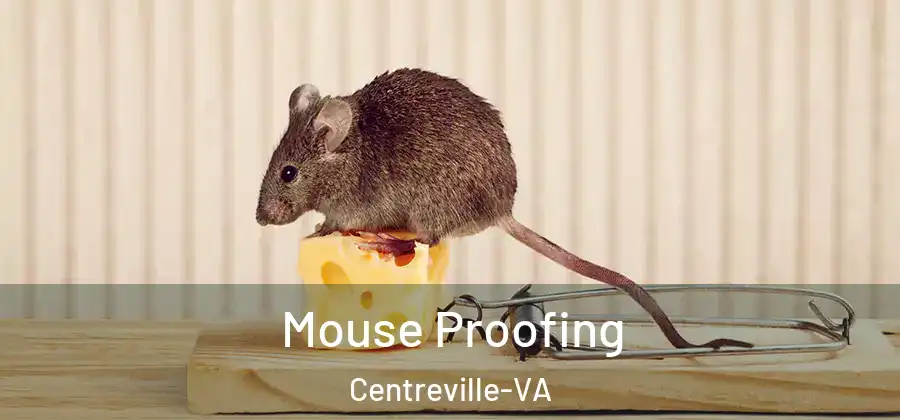  Mouse Proofing Centreville-VA
