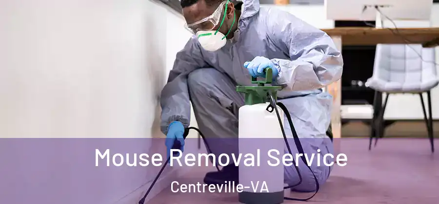  Mouse Removal Service Centreville-VA