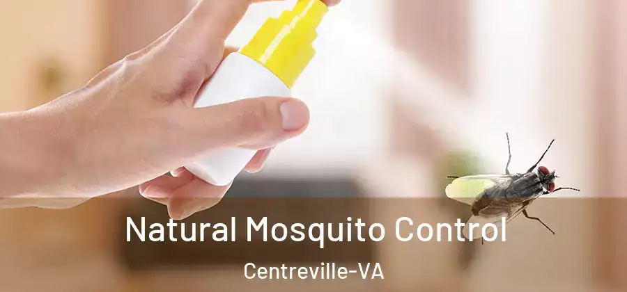  Natural Mosquito Control Centreville-VA