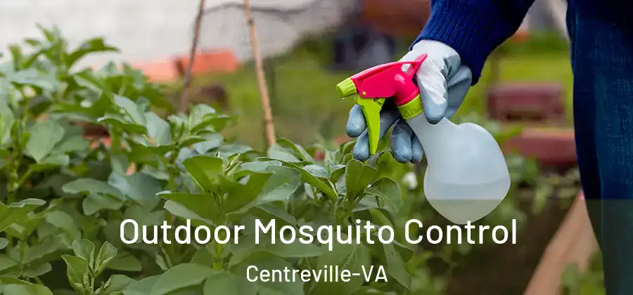Outdoor Mosquito Control Centreville-VA