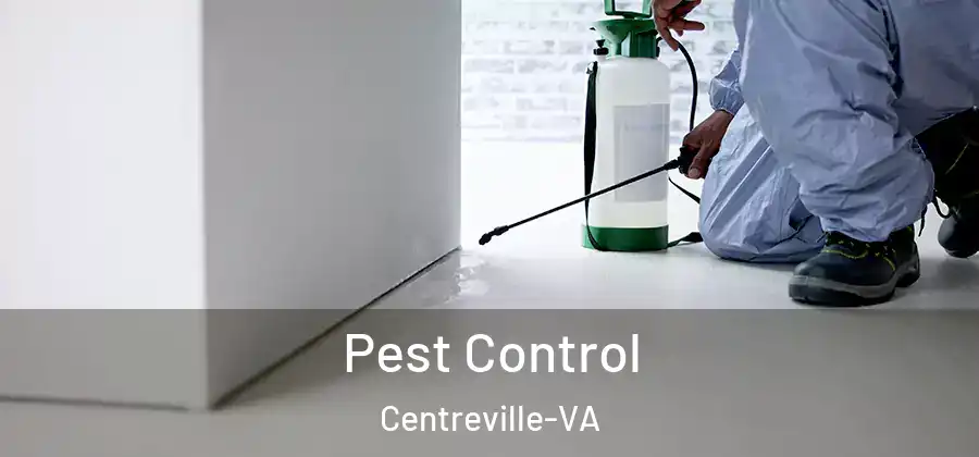  Pest Control Centreville-VA