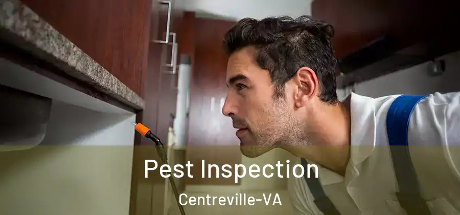Pest Inspection Centreville-VA