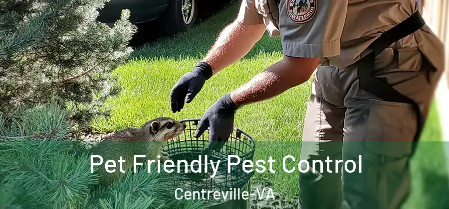  Pet Friendly Pest Control Centreville-VA