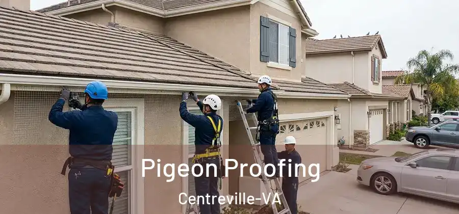  Pigeon Proofing Centreville-VA