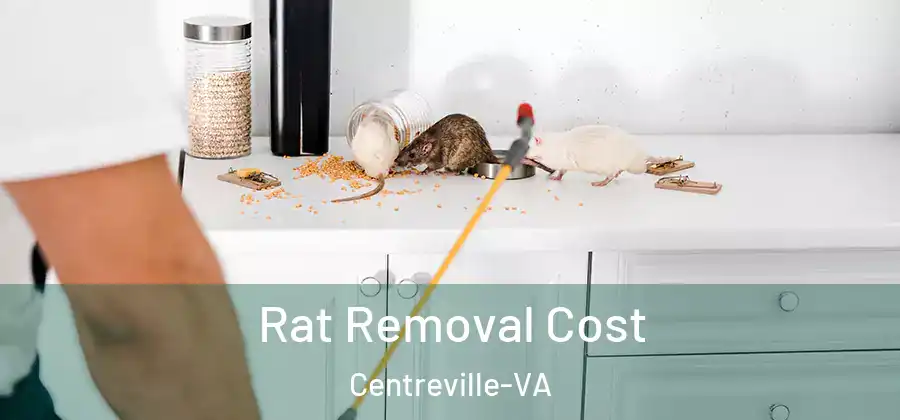 Rat Removal Cost Centreville-VA