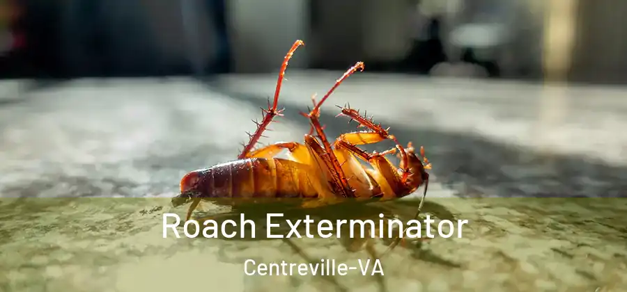  Roach Exterminator Centreville-VA
