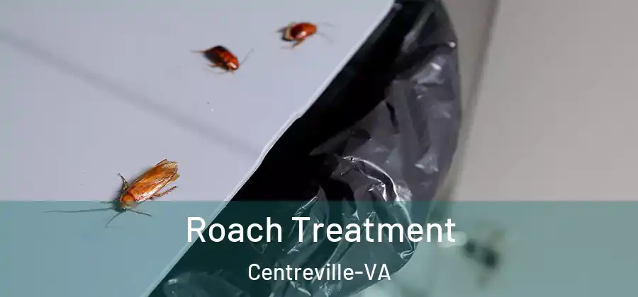  Roach Treatment Centreville-VA