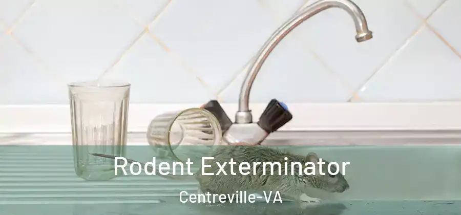  Rodent Exterminator Centreville-VA