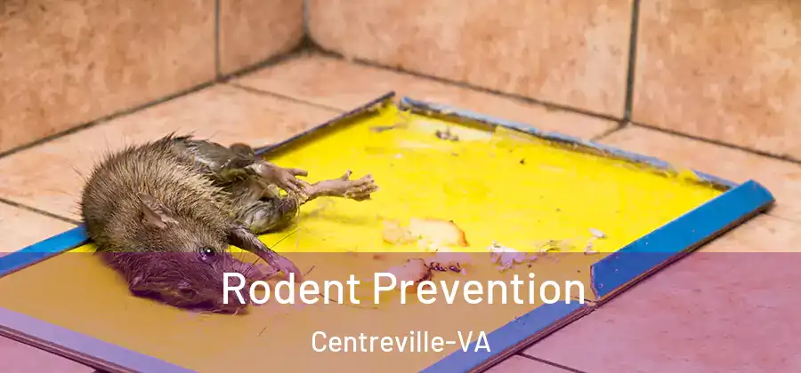  Rodent Prevention Centreville-VA