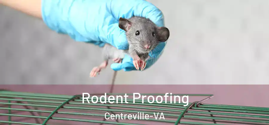  Rodent Proofing Centreville-VA