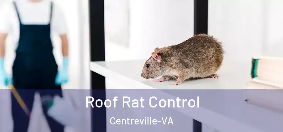 Roof Rat Control Centreville-VA