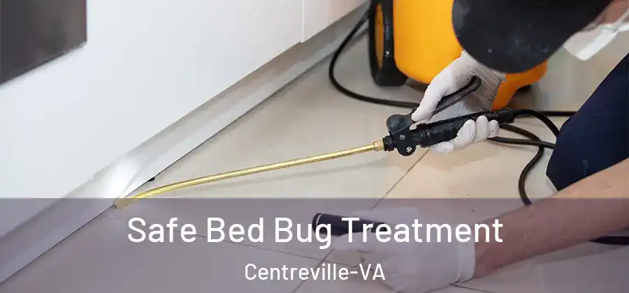  Safe Bed Bug Treatment Centreville-VA