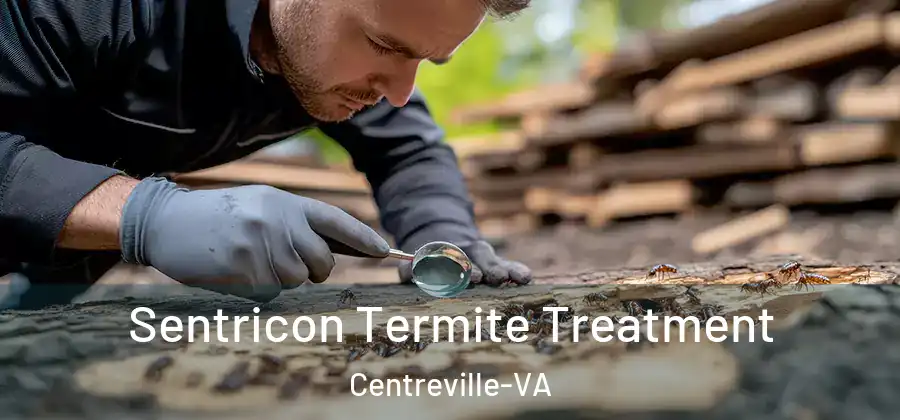  Sentricon Termite Treatment Centreville-VA