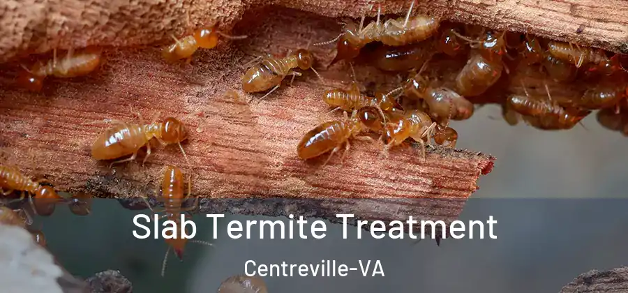 Slab Termite Treatment Centreville-VA