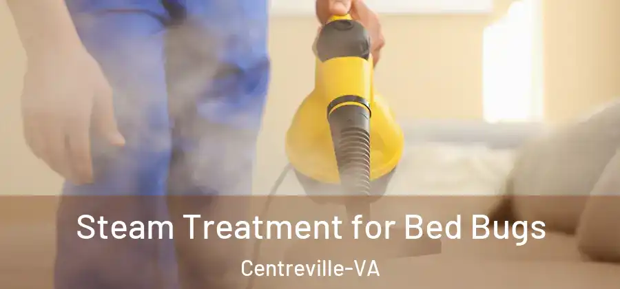  Steam Treatment for Bed Bugs Centreville-VA