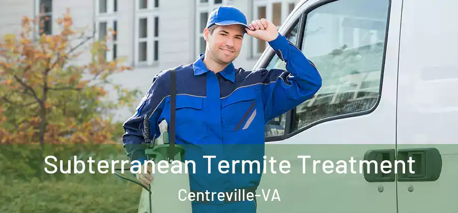  Subterranean Termite Treatment Centreville-VA