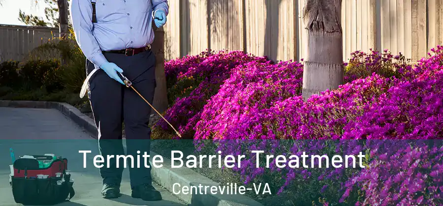 Termite Barrier Treatment Centreville-VA