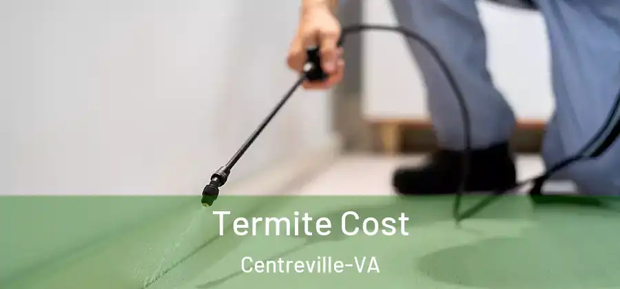 Termite Cost Centreville-VA