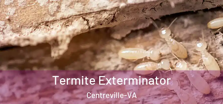  Termite Exterminator Centreville-VA