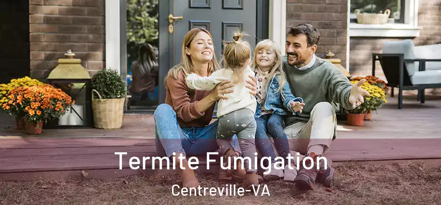  Termite Fumigation Centreville-VA
