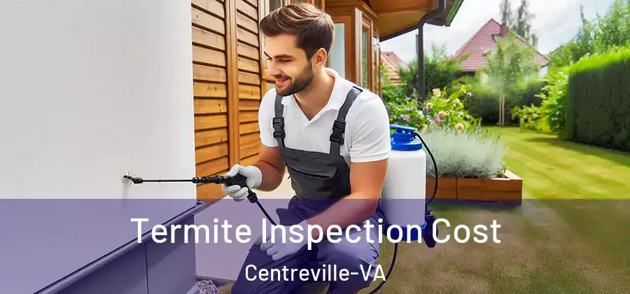 Termite Inspection Cost Centreville-VA