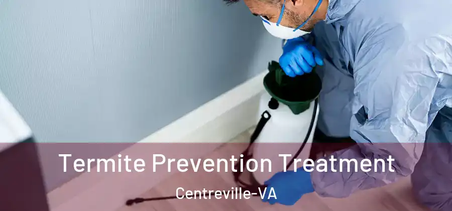  Termite Prevention Treatment Centreville-VA
