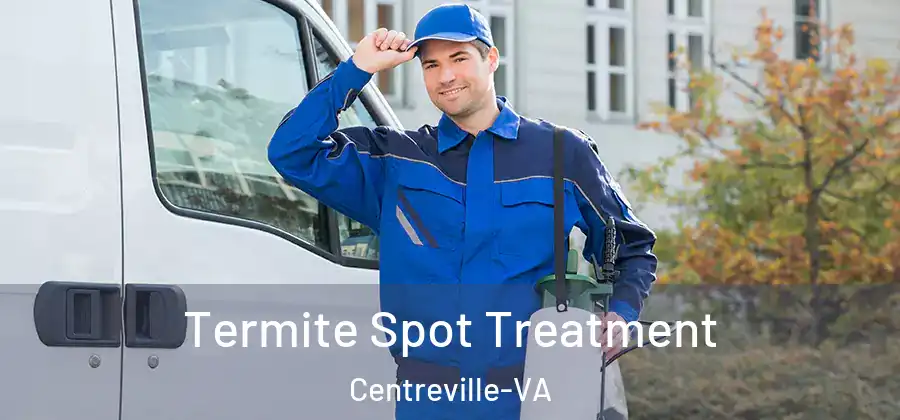  Termite Spot Treatment Centreville-VA