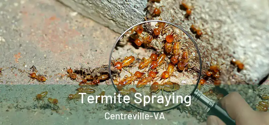 Termite Spraying Centreville-VA