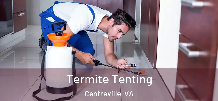  Termite Tenting Centreville-VA