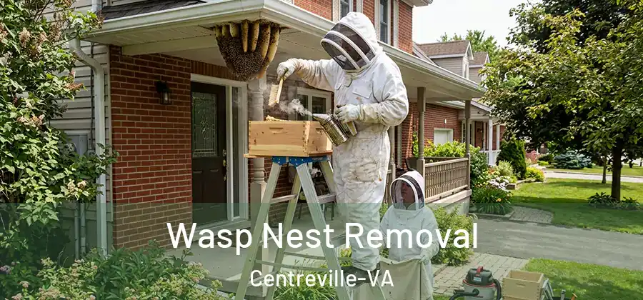 Wasp Nest Removal Centreville-VA