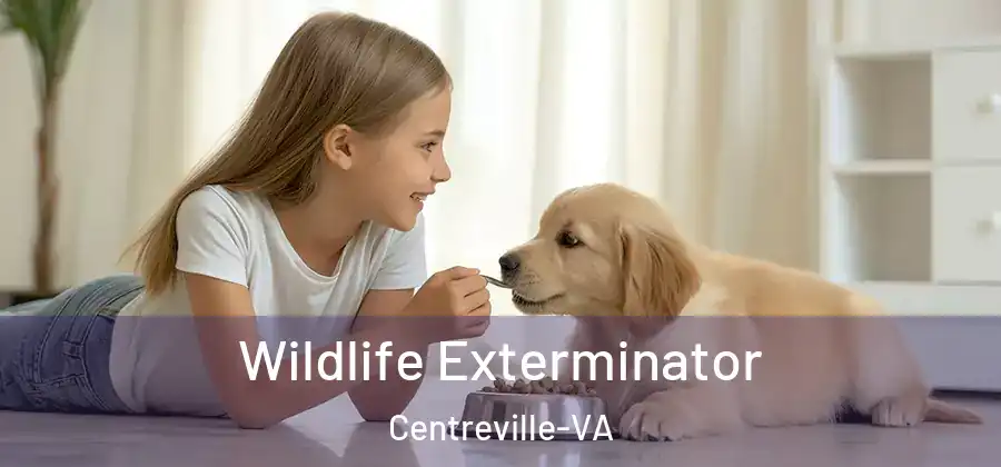 Wildlife Exterminator Centreville-VA