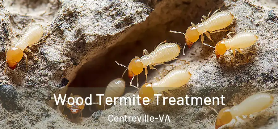  Wood Termite Treatment Centreville-VA