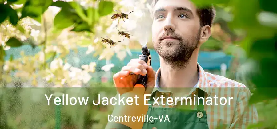 Yellow Jacket Exterminator Centreville-VA